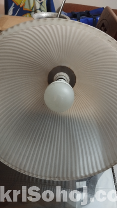 2 large ceiling hanging light shades